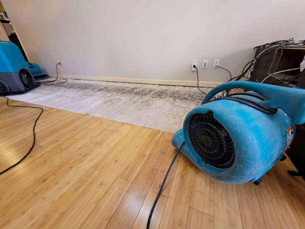 Professional Ceiling Water Damage Repair technician working in Ferndale, MD